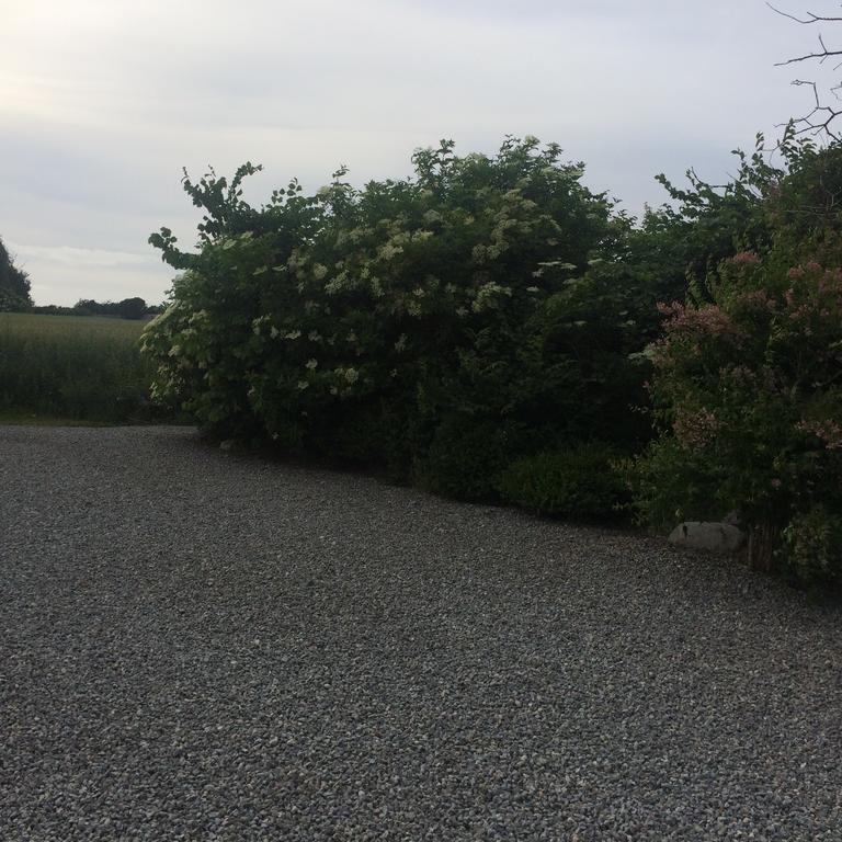 Thorupgaard Farm Holiday Stenum Exterior foto